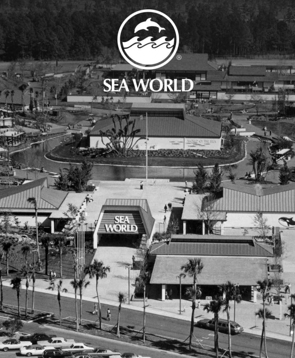 SeaWorld San Diego opened March 21, 1964. A 60th anniversary celebration will be held across all three SeaWorld parks in the U.S.