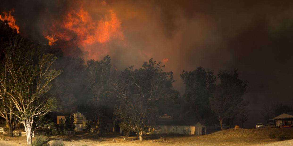 Photo credit: David McNew - Getty Images