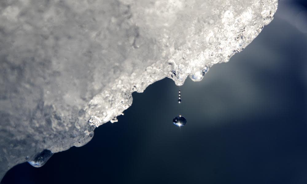 <span>Photograph: David Goldman/AP</span>