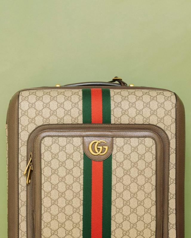 Gucci Savoy watch case with Web