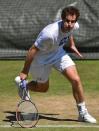 Murray fit for Wimbledon title defence