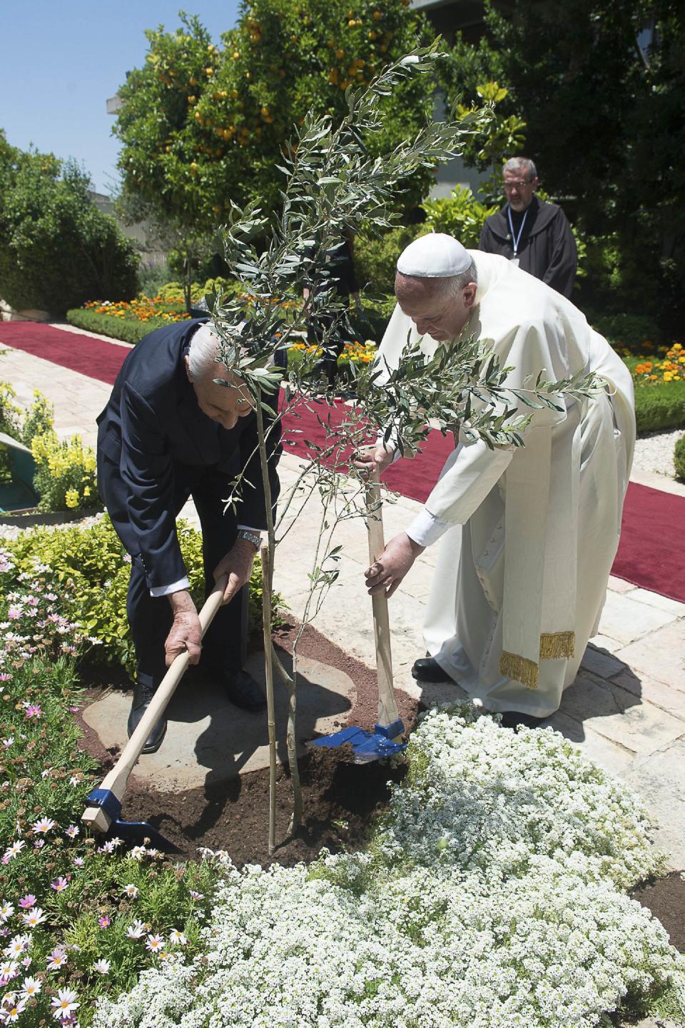 Pope Francis and Israeli President Peres plant an olive tree at the presidential residence in Jerusalem