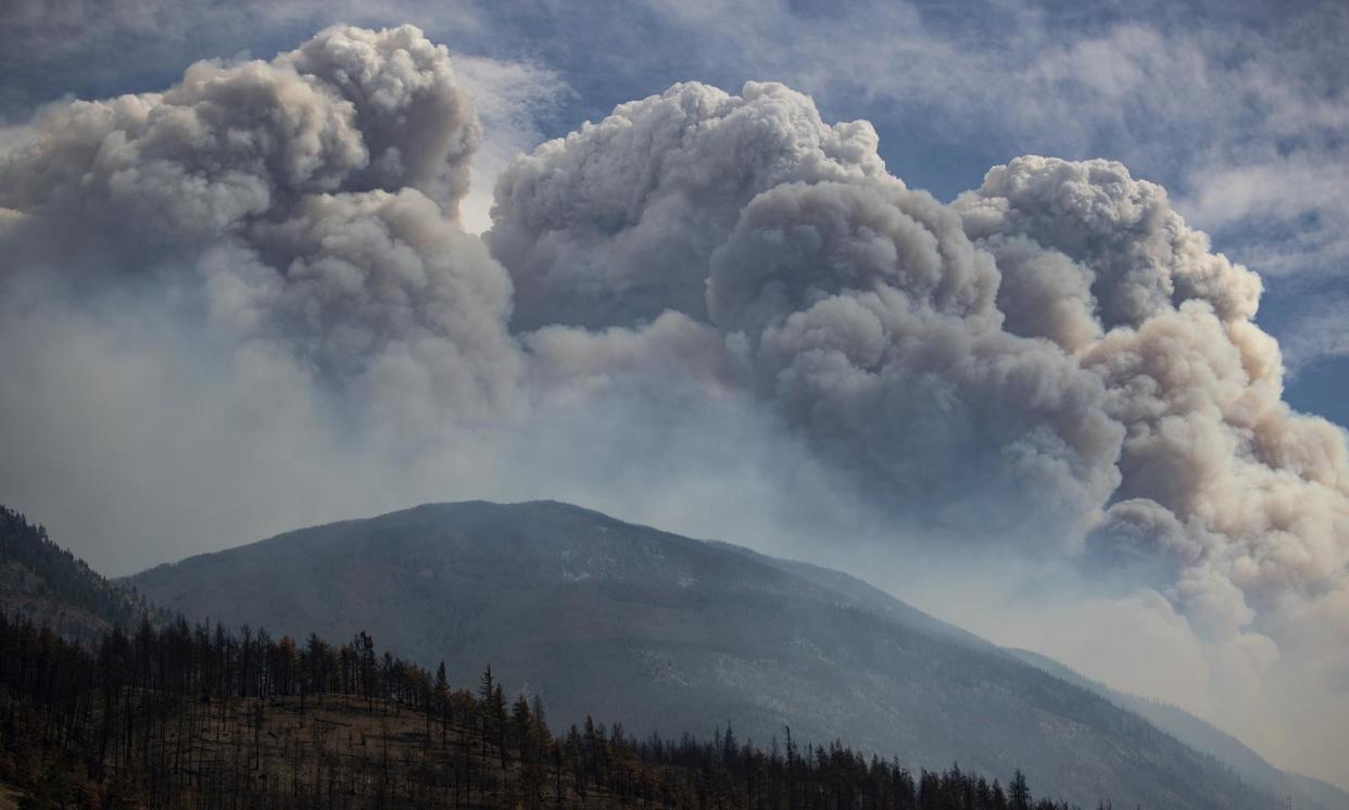 <span>A pyrocumulus cloud, also known as a fire cloud, seen in 2021 after being produced by a wildfire in British Columbia.</span><span>Photograph: Darryl Dyck/AP</span>