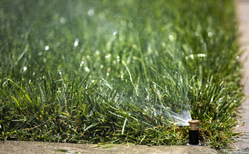 LOS ANGELES, CA-MAY 20, 2022: A green lawn on 78th St. in South Los Angeles receives water from a sprinkler. It's going to be a summer of brown grass and hard choices for Southern California lawn owners facing the Metropolitan Water District's one day a week watering restrictions starting June 1. (Mel Melcon / Los Angeles Times)