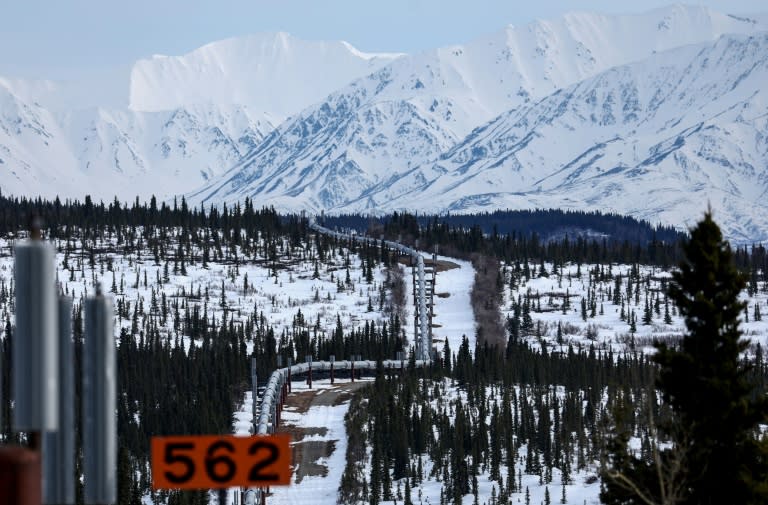 El oleoducto Trans Alaska, cerca de Delta Junction, en Estados Unidos, en una imagen del 5 de mayo de 2023 (Mario Tama)