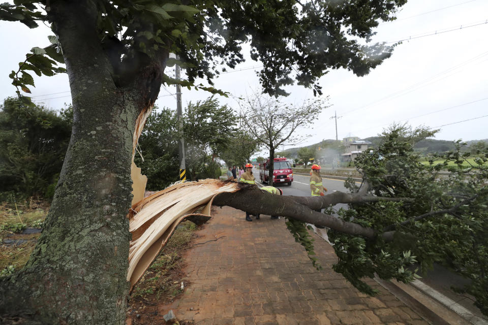 A tree branch is broken as Typhoon Lingling lashes in Daejeon, South Korea, Saturday, Sept. 7, 2019. Typhoon winds toppled trees, grounded planes and left thousands of South Korean homes without electricity on Saturday as a powerful storm system brushed up against the Korean Peninsula. (Kim Jun-beum/Yonhap via AP)