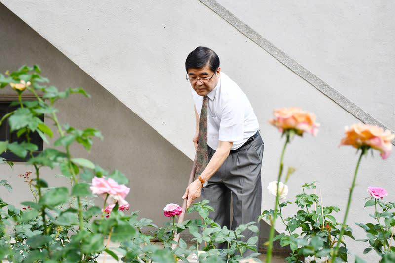 高醫大校長化身園丁種百株玫瑰 高雄醫學大學校長楊俊毓（圖）化身園丁，在校園角 落種起玫瑰花，至今已成百株玫瑰園，他也分享種植 感受體悟，成就另類生命教育。 （高醫大提供） 中央社記者林巧璉傳真  113年4月23日 