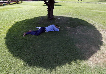 A man sleeps under the shade of a tree on a hot summer day at a public park in New Delhi, India, May 27, 2015. REUTERS/Anindito Mukherjee