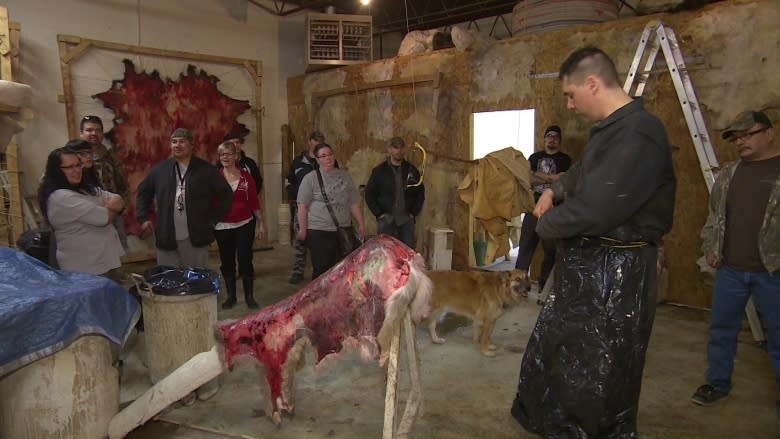 'Magical ingredient': Hunters learn to tan hides using animal brains in Winnipeg