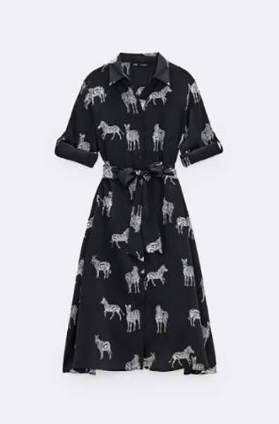 zara-zebra-dress