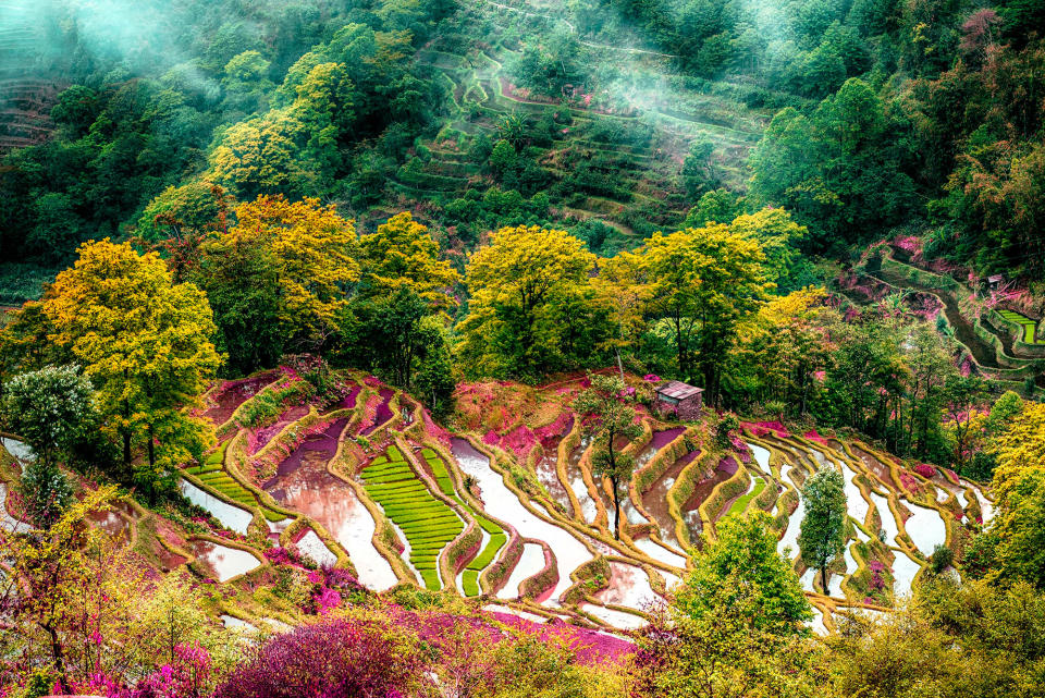 China’s rice terraces — The most beautiful in the world