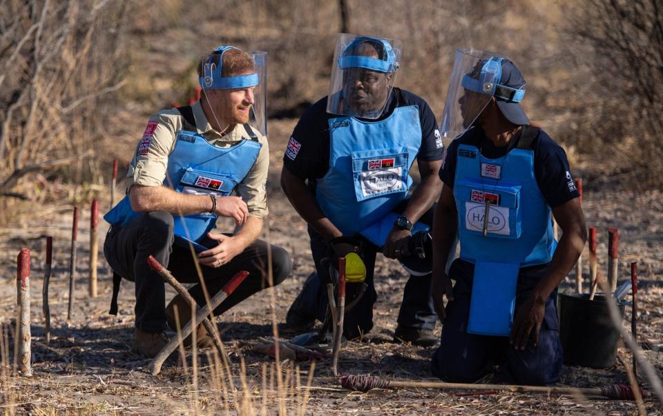 Prince Harry with the Halo Trust team clearing landmines in Angola - Dominic Lipinski/Getty Images