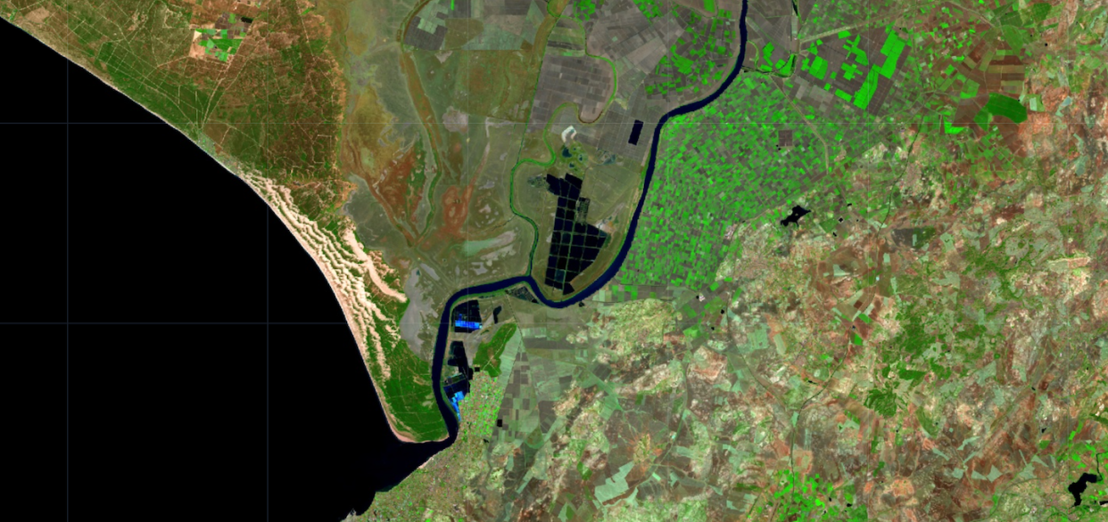 Satellite image showing the lack of water in the Doñana National Park. <a href="https://migueldefelipe.users.earthengine.app/view/split-panel-for-the-conversation" rel="nofollow noopener" target="_blank" data-ylk="slk:Sentinel 2;elm:context_link;itc:0;sec:content-canvas" class="link ">Sentinel 2</a>, Author provided