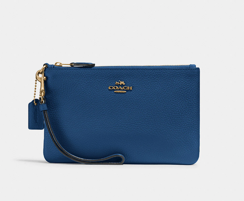 product photo of blue and gold Small Wristlet. Image via Coach.