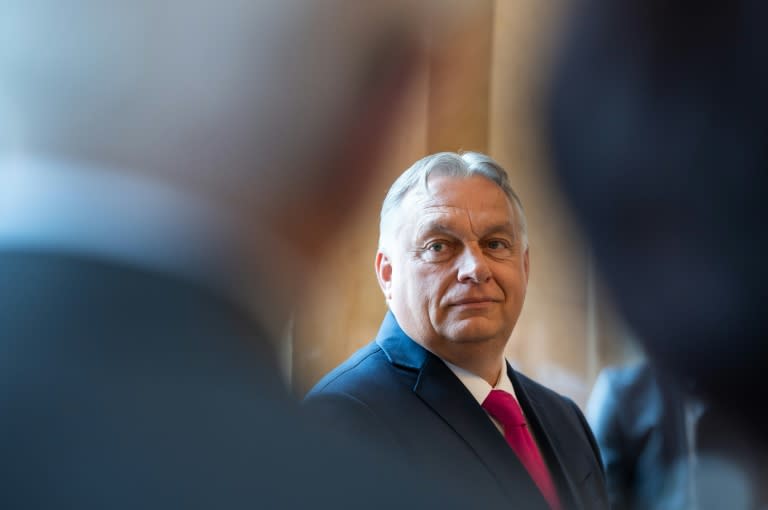 El primer ministro húngaro, Viktor Orban, en un acto antes del partido de la Eurocopa-2024 entre Alemania y Hungría, en Stuttgart, Alemania, el 19 de junio de 2024 (SILAS STEIN)