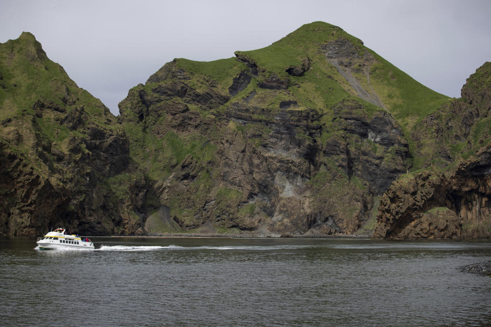 lettsvik Bay, Heimaey Island, Iceland, where two Beluga Whales Little White and Little Grey are being rehomed in an open-water sanctuary after years of captivity in Shanghai, China. In a world first by the Sea Life Trust, the whales have been transported 6,000 miles by air, land and sea to Iceland where they will be cared for in a special tank for around a month before being permanently moved to their new, open-water home. (Aaron Chown/PA via AP)