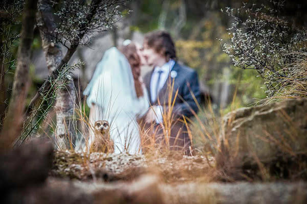 <div class="caption-credit">Photo by: Mike Cook Photography</div><div class="caption-title">Meerkat Manor</div><p> This couple was going for a "woodland fantasy" look and a furry party-crasher got the memo. </p> <p> <i>Have a photobomb of your own that you'd like to share? Upload your pic to</i> <i><span>BG's Facebook page</span> or</i><i><span>submit it to us via Instagram</span> (be sure to include the hashtag #bgphotobombs) and we may add it to our list!</i> </p>