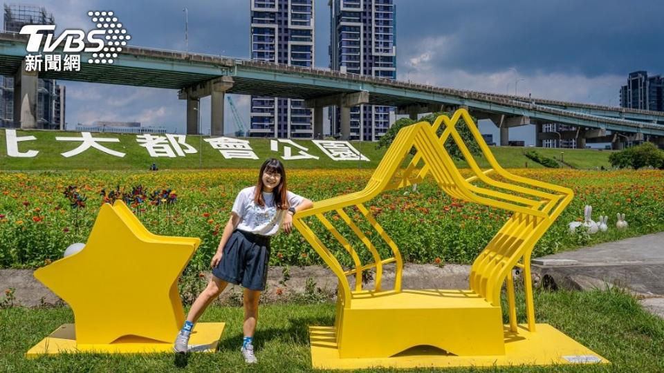 放射狀地景花海，賞花步道還設置星星、月亮及太陽造型的互動裝置。圖/新北高灘處提供