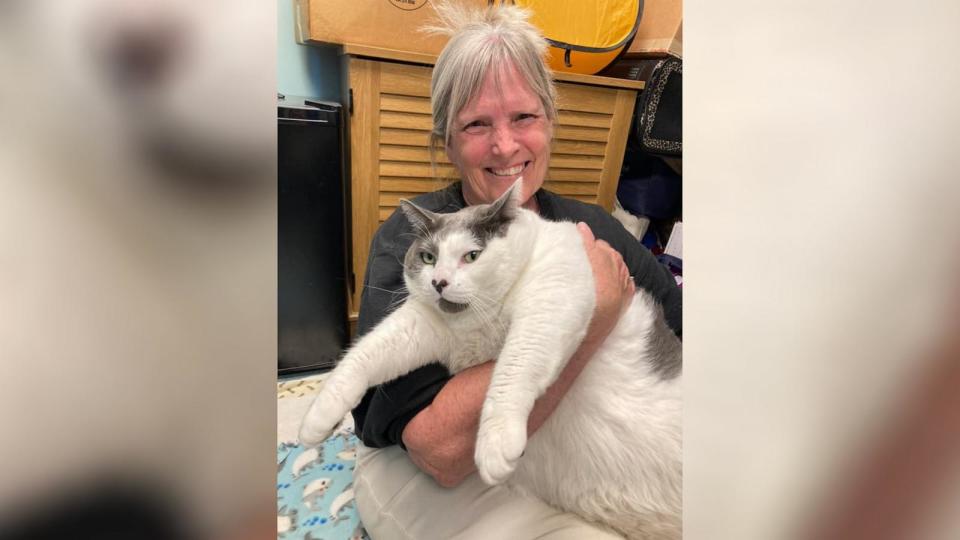 PHOTO: Kay Ford adopted Patches the cat earlier this week after seeing a photo of the 40-pound cat in a social media post shared by Richmond Animal Care and Control in Richmond, Virginia. (Courtesy of Kay Ford)