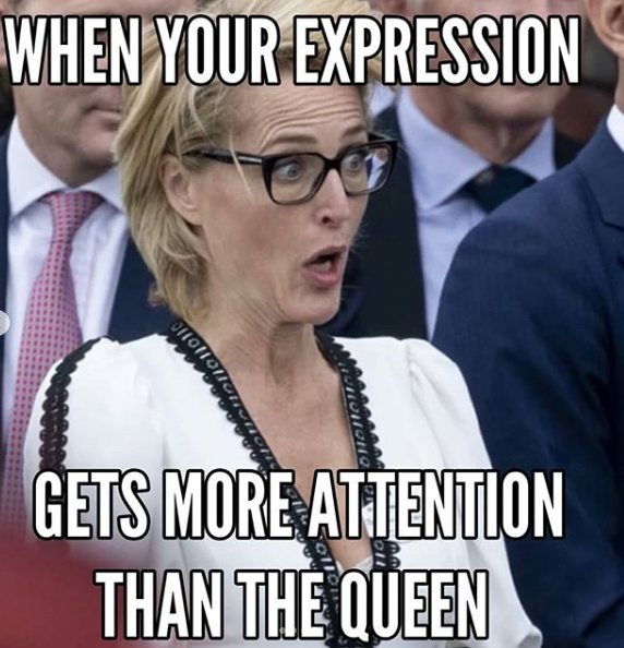 A meme poking fun at actor Gillian Anderson's reaction to the Queen being hit in the face by a scarf.