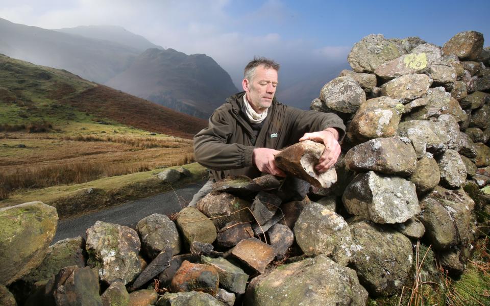 The man rescuing sheep on Beatrix Potter's favourite Lake District fells