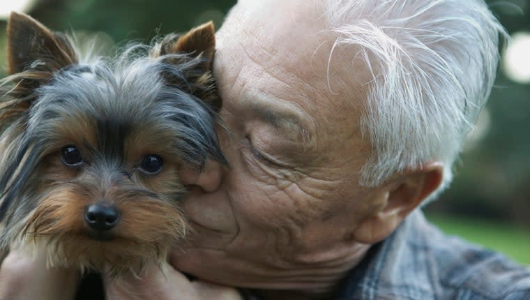 Dog Rescues Senior Trapped in Car Overnight