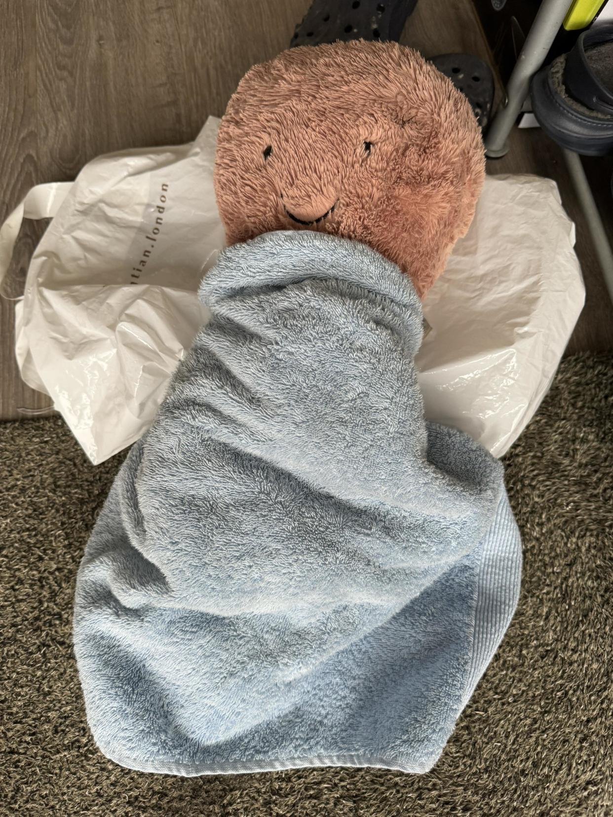 Octopus wrapped in towel