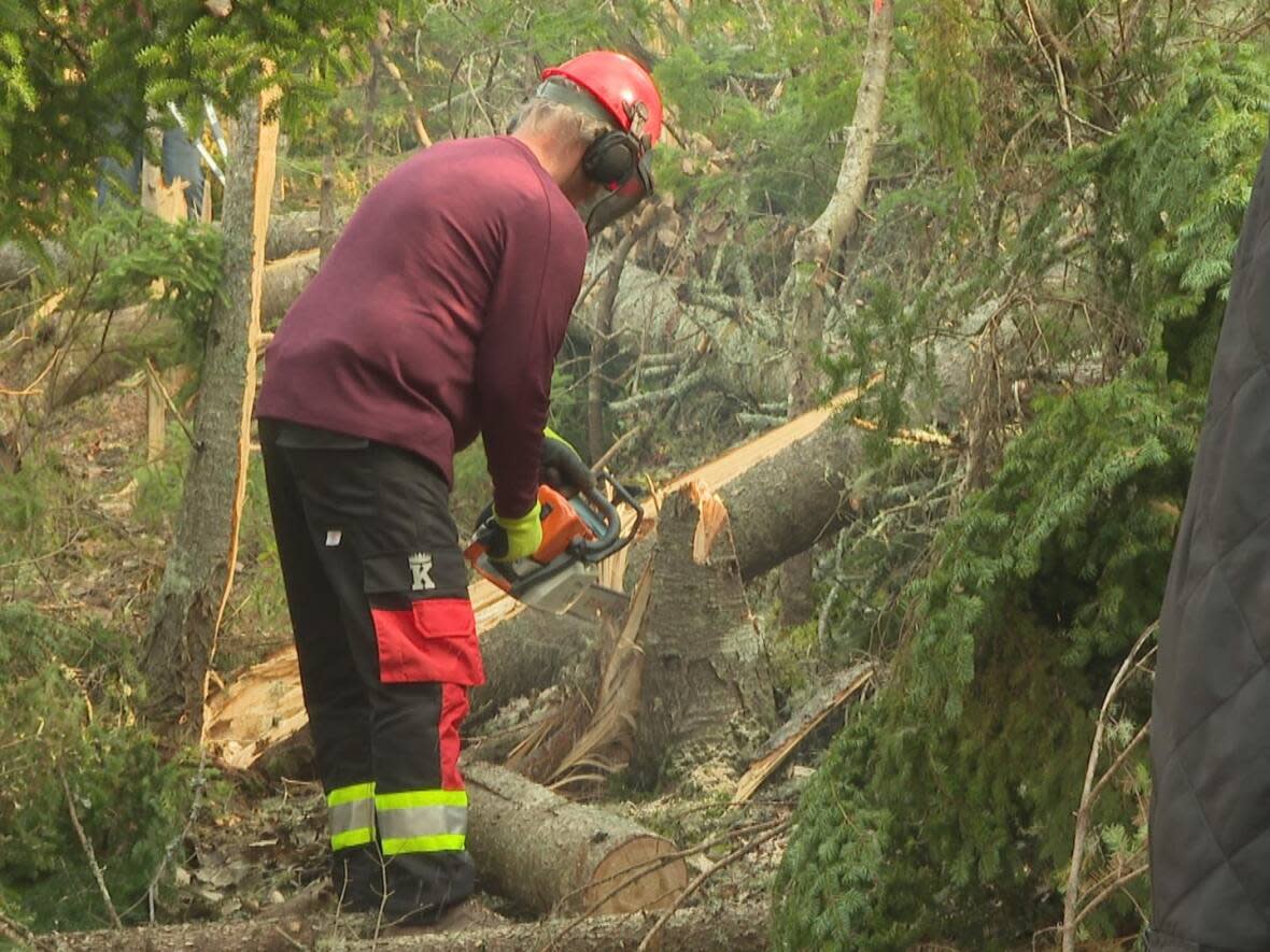 'Our volunteers are energetic but it's just a monumental task,' says Island Trails president Greg McKee. 'It worries me that we're not going to have a number of trails open this winter for use.' (Sheehan Desjardins/CBC News - image credit)