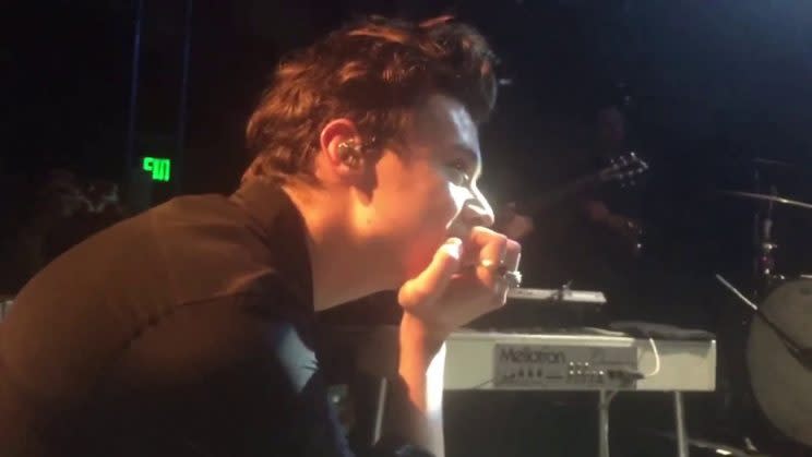 Harry joined the audience at his own concert to watch Stevie Nicks perform.