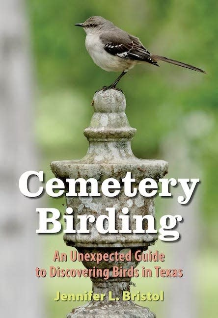 "Cemetery Birding: An Unexpected Guide to Discovering Birds in Texas" by Jennifer Bristol follows up on the author's "Parking Lot Birding: A Fun Guide to Discovering Birds in Texas," both published by Texas A&M Press.