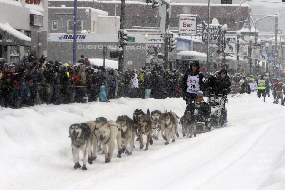 Five-time winner Dallas Seavey takes his sled dog team through a snowstorm in downtown Anchorage, Alaska, on Saturday, March 5, 2022, during the ceremonial start of the Iditarod Trail Sled Dog Race. The competitive start of the nearly 1,000-mile race will be held March 6, 2022, in Willow, Alaska, with the winner expected in the Bering Sea coastal town of Nome about nine days later. (AP Photo/Mark Thiessen)