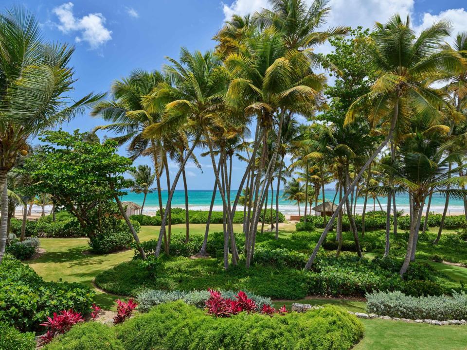 Bahia Beach, Puerto Rico