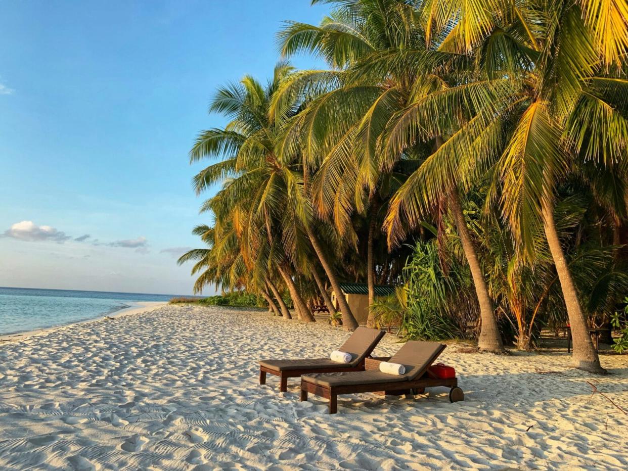 Check out the top concerns and timelines for summer vacation planners. Pictured: a white sand beach with lush green palm trees