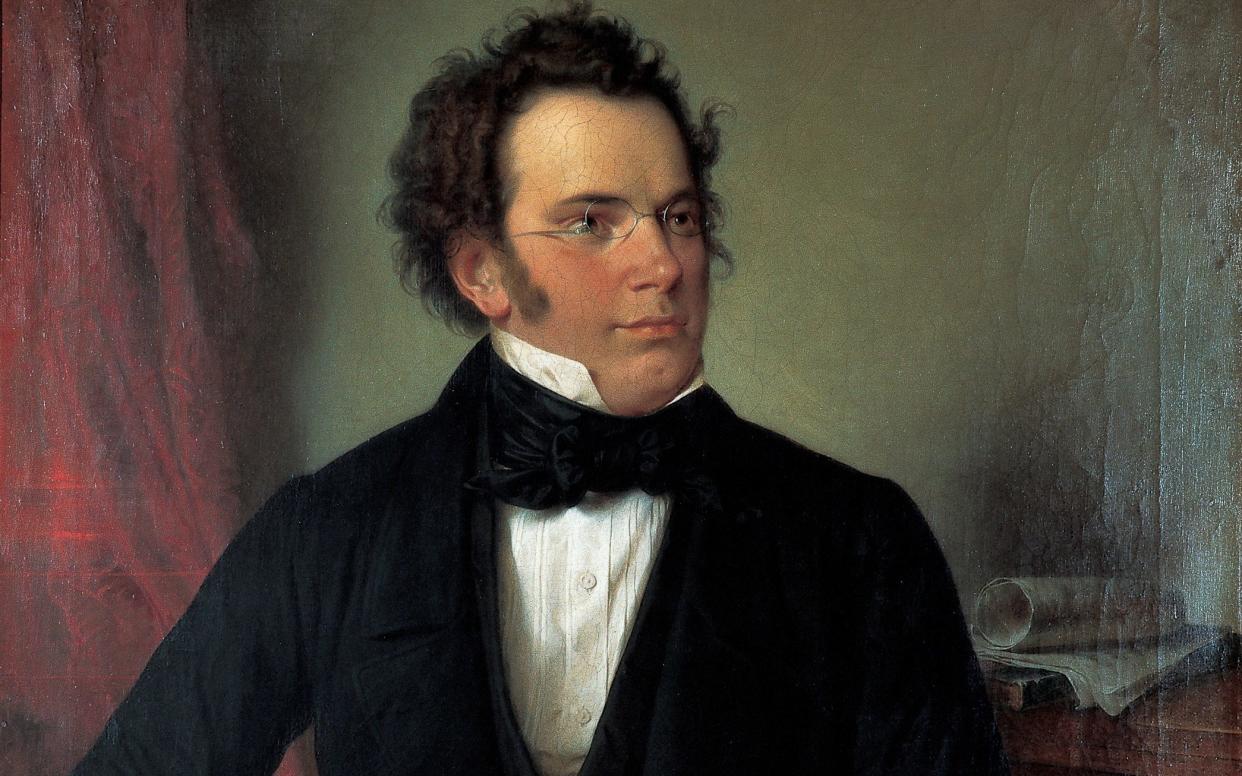 Franz Schubert - Getty Images