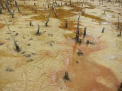 Aerial roots at the mangrove area. (Yahoo! Singapore/ Karen Vera)