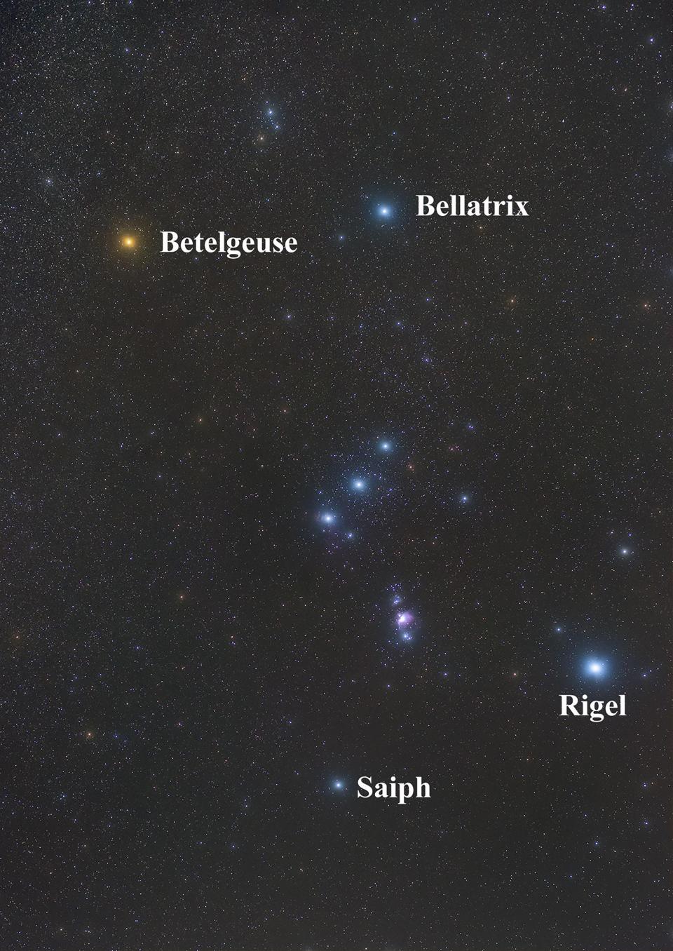 Four bright stars that form the quadrangle of the constellation Orion are labeled in this Jan. 19 photo. Months ago, the reddish star Betelgeuse was almost as bright as Rigel, but recently Betelgeuse has undergone historic fading. In late January it was closer in brightness to Bellatrix. [Johnny Horne for The Fayetteville Observer]