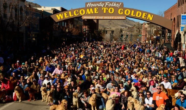 Over 1,000 Golden Retrievers Take to Colorado Streets for 'Goldens in Golden' Event