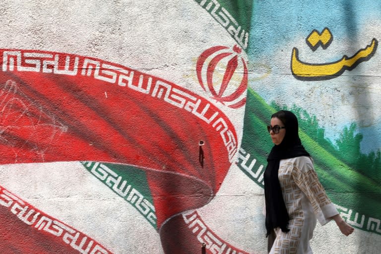 A reformist and an ultraconservative face each other in Friday's Iranian presidential election runoff (ATTA KENARE)