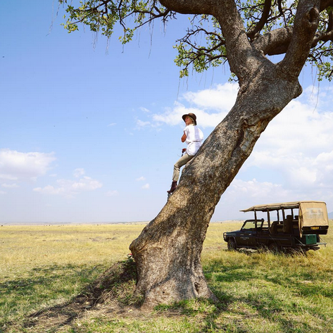 <p>The <em>DWTS</em> star took her honeymoon with new hubby Brooks Laitch to new heights, as she climbed a tree and prepared to take on a safari in Kenya. “Jambo Savannah, it’s gonna be a great day!” she wrote. (Photo:<a rel="nofollow noopener" href="https://www.instagram.com/p/BW-wG1ZBcvz/?taken-by=juleshough" target="_blank" data-ylk="slk:Julianne Hough via Instagram;elm:context_link;itc:0;sec:content-canvas" class="link "> Julianne Hough via Instagram</a>) </p>