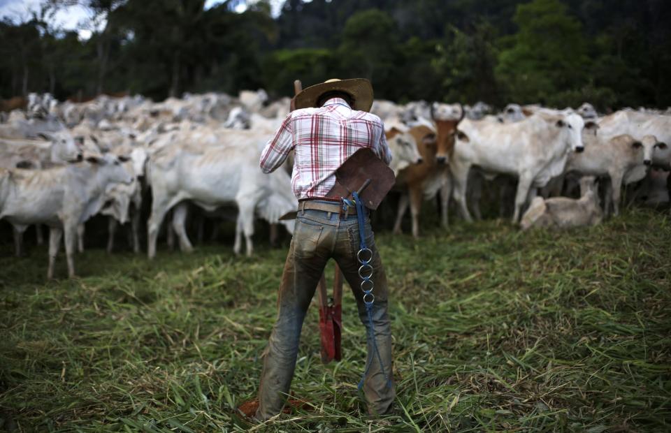 File photo of a cowboy digging a hole into land that was formerly Amazon rainforest, near the city of Novo Progresso