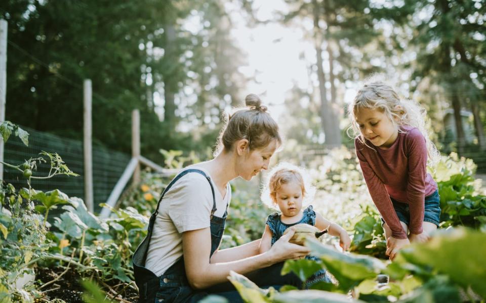 "Gardening is highly cathartic for me": get the family outside to enjoy the little things on Sunday 10th May  - RyanJLane