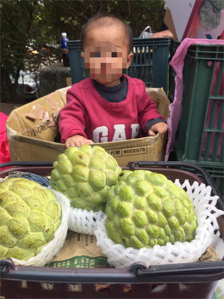 孩子睡紙箱淚討抱抱！虎頭山「釋迦媽媽」頂風雨擺攤撐生計