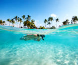 <p>Think you can't afford a Hawaiian vacation? Try the <a rel="nofollow noopener" href="http://www.anrdoezrs.net/links/8147966/type/dlg/sid/MYmonthbymonthtravel/https://www.tripadvisor.com/Tourism-g29217-Island_of_Hawaii_Hawaii-Vacations.html" target="_blank" data-ylk="slk:Big Island;elm:context_link;itc:0;sec:content-canvas" class="link ">Big Island</a> in May, one of the cheapest months to travel there, as it's after winter's high season but before summer break. Last year flights to Kona International Airport were down 14%, according to Hopper.com. Bonus: Because fewer tourists visit in May than during the summer months, you'll have an easier time finding a stretch of sand to call your own.</p> <p><strong>LOCAL'S TIP: </strong>Pacheco recommends <a rel="nofollow noopener" href="http://www.anrdoezrs.net/links/8147966/type/dlg/sid/MYmonthbymonthtravel/https://www.tripadvisor.com/Tourism-g143034-Hawaii_Volcanoes_National_Park_Island_of_Hawaii_Hawaii-Vacations.html" target="_blank" data-ylk="slk:Hawaii Volcanoes National Park;elm:context_link;itc:0;sec:content-canvas" class="link ">Hawaii Volcanoes National Park</a> ($15 per car for seven days), where you can walk through a lava tube and trek along a crushed-lava road to the ocean.</p>