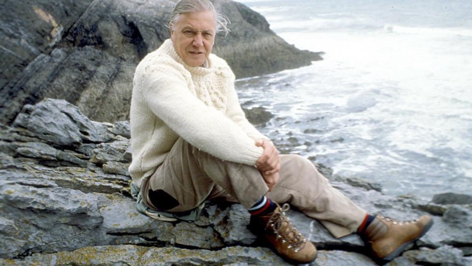 Sir David Attenborough's best moments