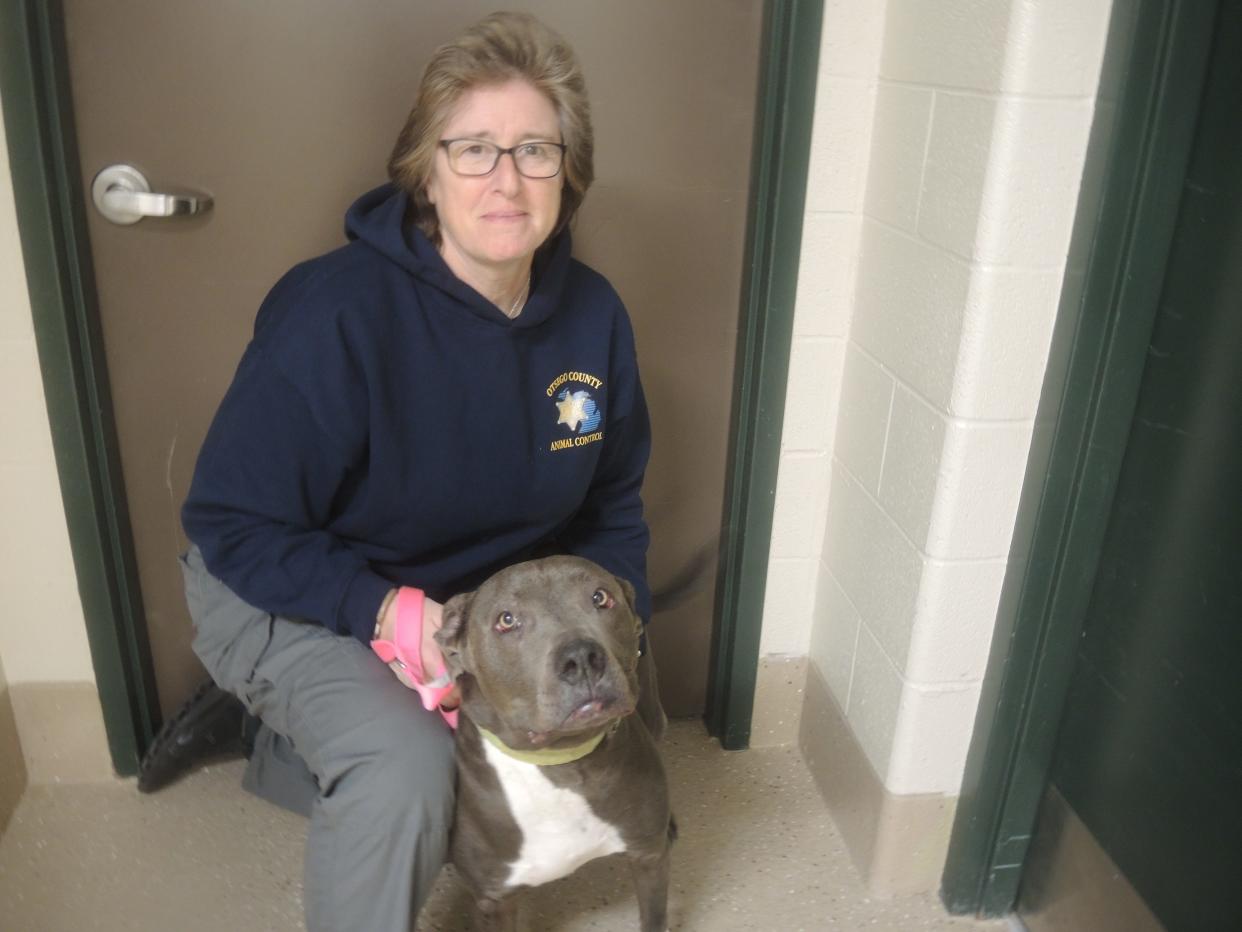 Melissa FitzGerald, animal control officer for Otsego County, is shown with "Lady." Voters will be asked to renew a .30 of a mill property tax on May 2 to fund the animal shelter and provide animal control services.