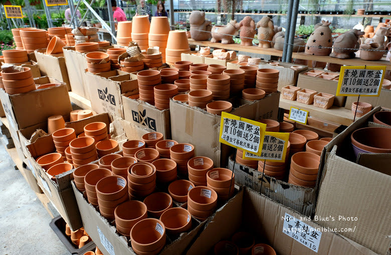 彰化芬園｜埔茂花市