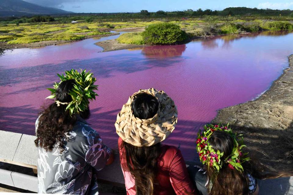 <p>Matthew Thayer/The Maui News via AP</p> Shad Hanohano, from left, Leilani Fagner and their daughter Meleana Hanohano view the pink water at the Kealia Pond National Wildlife Refuge in Kihei, Hawaii on Wednesday, Nov. 8, 2023