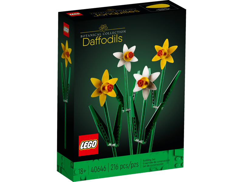 Daffodils