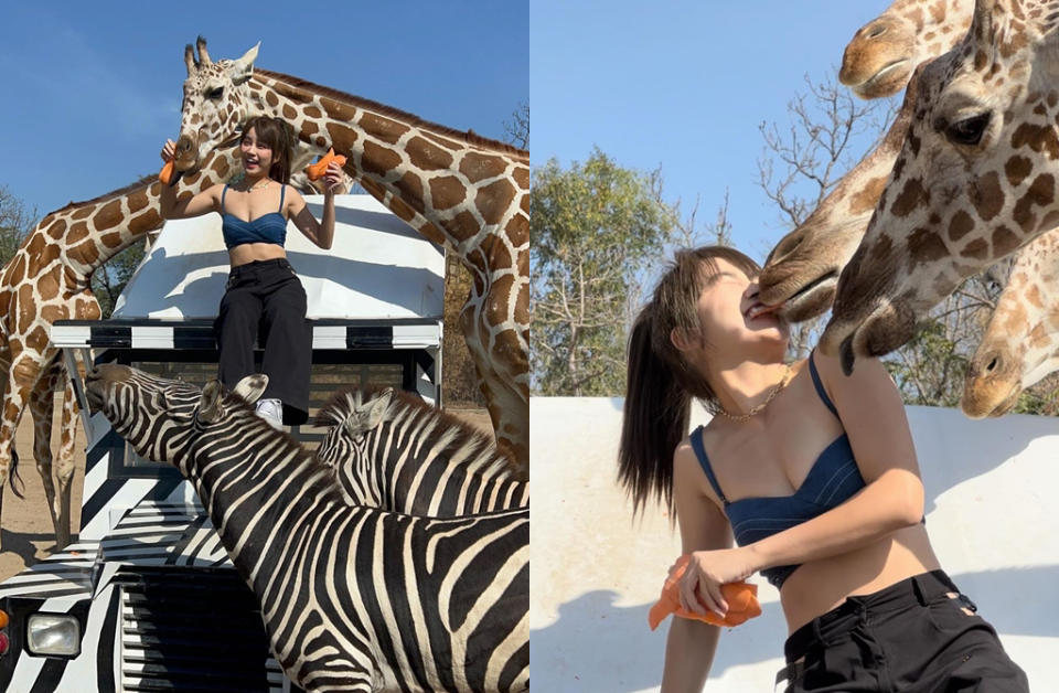 陳伊到動物園遭長頸鹿舌吻。（圖／bobeyiyi Instagram）