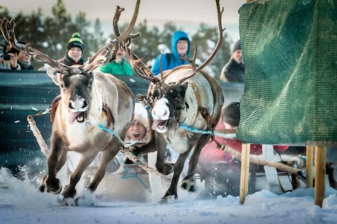 Travel Photographer of the Year: Journey Nine features Sámi reindeer racers - and plenty more - Credit: RAIMONDO NORBERTO GIAMBERDUCA/TRAVEL PHOTOGRAPHER OF THE YEAR
